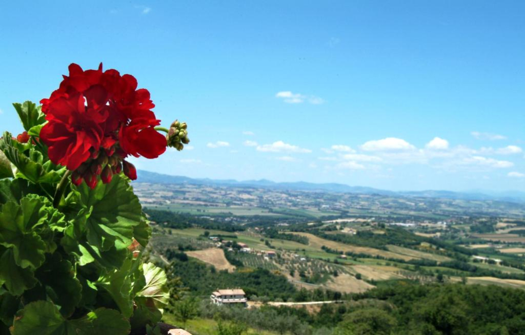 agriturismo_sangiovannialmonte_collazzone_03